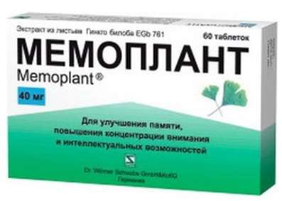 Memoplant 40mg 60 pills buy cerebral circulation online